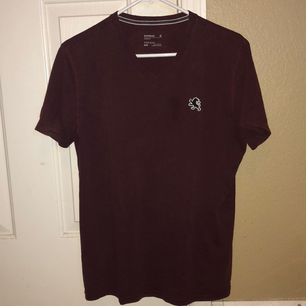 Express Medium V-Neck Tee in Maroon